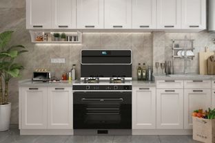 奧田集成灶,高顏值烹飪助手強(qiáng)勢來襲