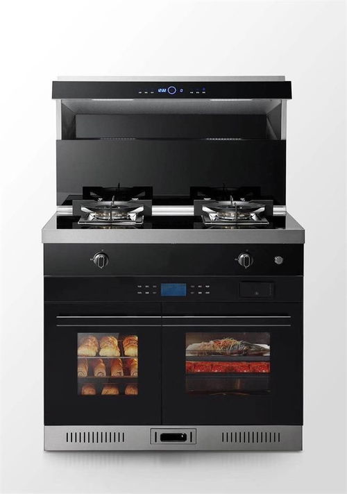 別再糾結了 2023年集成灶十大品牌年終盤點,看看哪款最適合您